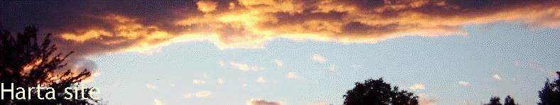 Harta site